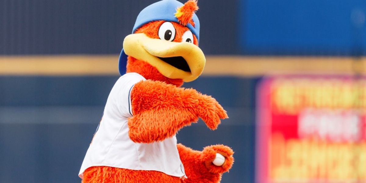 Meet the Akron Rubber Ducks mascot! Moving Day